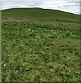 North slope of Duntilland Hill in ML7 4NZ