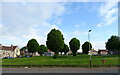 Housing estate green space off Beauly Crescent in DD3 0LT