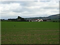 Crop field towards Mains of Baldovan in DD3 0PY