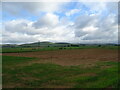 Crop field on sandy soil near the Fithie Burn in DD4 0RE