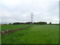 Crop field and pylon east of Huntingfaulds in DD4 0QA