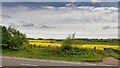 Fields east of the A189 at Newbiggin in NE63 9WL