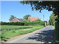 Belchamp Otten: The Street in Belchamp Otten