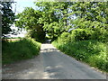 Leafy minor Rural Road in NR28 0JY