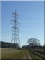 Footpath by pylon in PE32 1UA