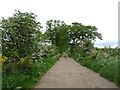 Farm track from Netherton towards the River South Esk in DD9 6RW