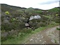 Moorland below Ben Vrackie in PH16 5RA