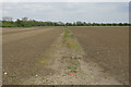 Farm track off Northfield Road in CB7 5UP
