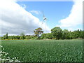 Cereal crop and wind turbine, Hill of Stracathro in DD9 7PX