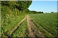 Farmland, Penton Mewsey in SP11 0SP