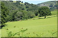 Hillside field below Hafodyrynys Forest in NP11 5AY