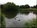 The Sidings Pool, Bluebell Drive Park, Bedworth in CV12 0JP