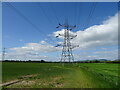Pylon in crop field, Inchmichael in PH2 7RS