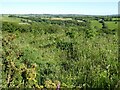 Farmland near Wenallt in SA32 8HX