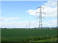 Cereal crop and power lines, Meggatland in PH14 9QH