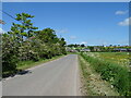 Minor road towards Longforgan in DD2 5FE