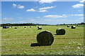Silage bales near East Bank in DD2 5FE
