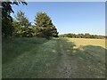 Greenspace in Chopwell in NE17 7BT