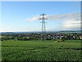 Crop field and pylon near Middleton in DD4 0PQ