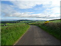 Bend in the road towards Carrot Farm in DD8 2JU