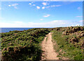 The South West Coast Path heading towards Black Head in TR12 6SB