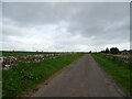 Minor road towards Craignathro in DD8 2LE
