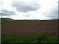 Potato crop near Balmashanner in DD8 2AZ