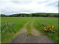 Farm track near Murton in DD8 2TA