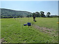 Clydesdale horse in a paddock near Pontesbury in SY5 0UH