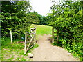 Gateway into a June meadow below Earls Hill in SY5 0UN