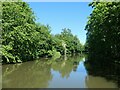 Bridgewater canal, between bridges 71 and 72 in WA7 6LJ