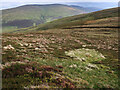 Heather moorland south of Pykestone Hill in EH45 9JU