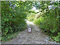 Side track off bridleway, Great Chattenden Wood in ME3 8HG