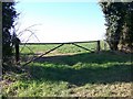 Gate, Brockington Down in Gussage All Saints