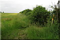 Not particularly passable footpath to Cople or Greensand Ridge in MK44 3UD