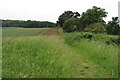 Footpath towards Hangman's Spinney in SG18 9AW