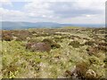 Moorland above Craigmore in G62 7HA
