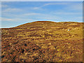 Grouse butts and sheep on the slopes of Meall Reamhar in PH6 2NG