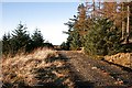 Forest Road on Dunbennan Hill in AB54 4US