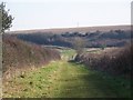 Bridleway junction, Brockington Down in Gussage All Saints