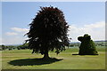 Topiary at Ascott House Grounds in LU7 0PZ