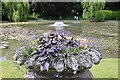 Water Garden at Ascott House Garden in LU7 0NX