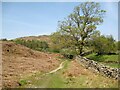 Bridleway near Cockenskell in Blawith and Subberthwaite