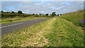 Well-cut verges on the road into Eaglesham in G76 0AW