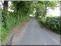 Hedge and tree-lined minor road near to where it crosses Cuddy Syke in BB7 4NX