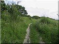 The bridleway running up the edge of the Coombes in SN4 0DR
