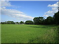 Grass field on the edge of Helpston in PE6 7DX