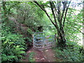 Llwybr ger Heol Graig y Merched / Path near Graig y Merched Road in SA9 2EE