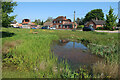 Pond on Aldborough village green in Aldborough