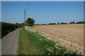 Field by Banningham Road in Ingworth
